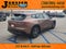 2025 Toyota Crown Signia XLE
